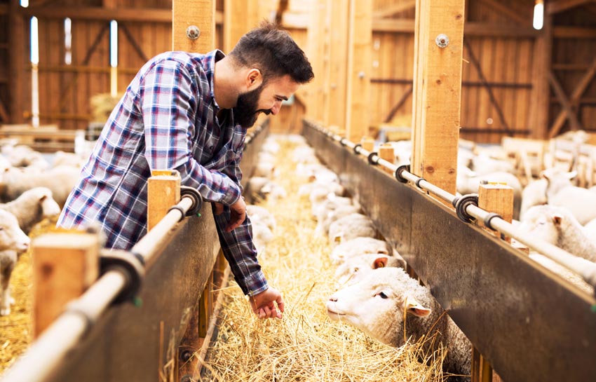 Personal Agrar: Effiziente Personalvermittlung in der Agrar- und Landwirtwirtschaft