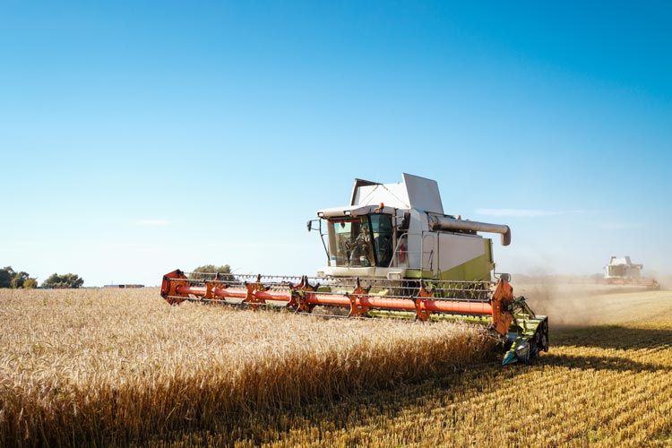 Bereit für Ihren neuen Agrar Job / Landwirtschaft Job?